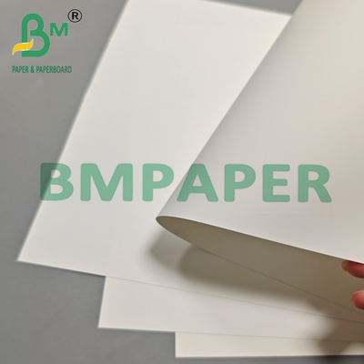 Papier à pellicules en PET 200um polyvalent pour l'emballage à l'exportation et les étiquettes industrielles