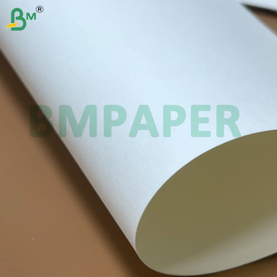 PE revêtu non toxique écologique bonne malléabilité étanche à l'eau feuilles de papier pour tasse