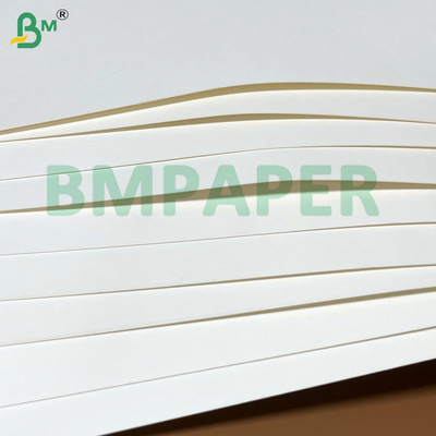 PE revêtu non toxique écologique bonne malléabilité étanche à l'eau feuilles de papier pour tasse