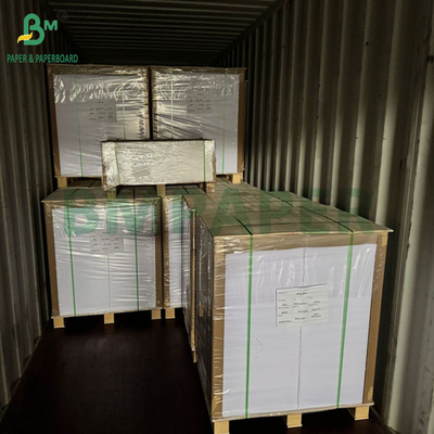 240 gm 260 gm Blanc imprimable Cupp1s papier pour faire des tasses 700 mm 800 mm