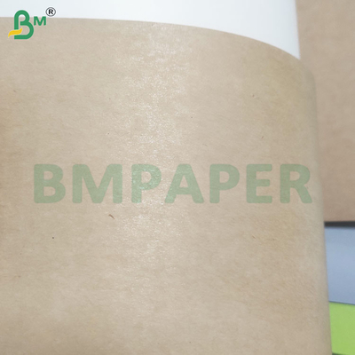 195 gm+15 gm PE enduit de feuilles de papier de cuvette pour conteneurs alimentaires