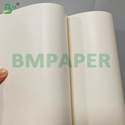 Feuilles de papier cartonné couchées PE simple face pour gobelets en papier jetables