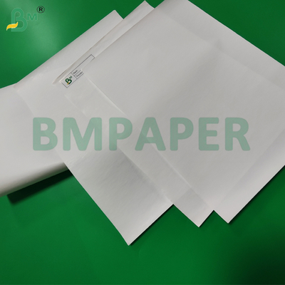 Rouleau Jumbo de Papier Thermique 55gsm 65gsm pour Machines POS 480mm Écologique