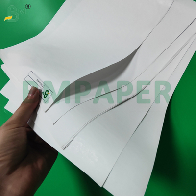 Rouleau Jumbo de Papier Thermique 55gsm 65gsm pour Machines POS 480mm Écologique