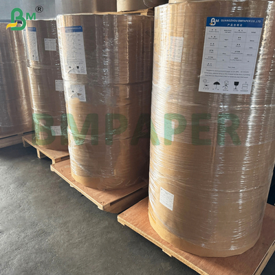 Rouleau Jumbo de Papier Thermique 55gsm 65gsm pour Machines POS 480mm Écologique