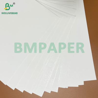 Carton blister blanc 400 g/m² à forte adhérence pour emballage thermoscellable