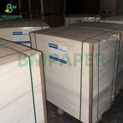 350GSM 400GSM Carton à plaquettes mono-faces brillantes pour plateaux thermoformés