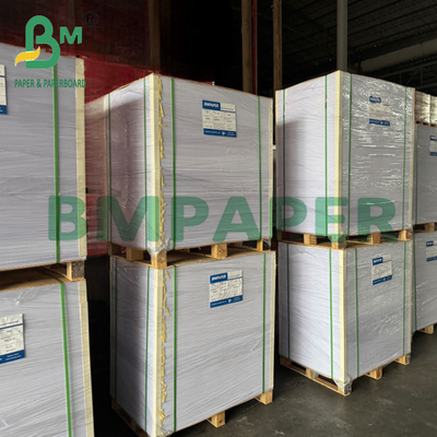 En vrac 400 g de carton d'ivoire de bonne résistance