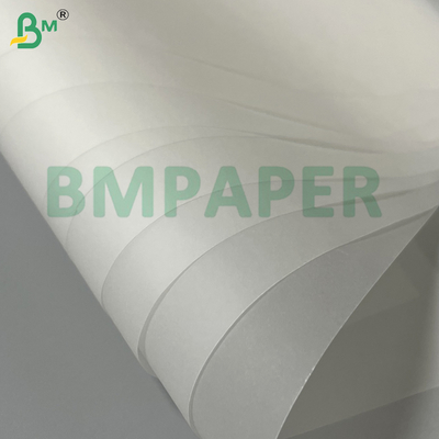 100 g d'encre de 24"x36" - Résistant à l'encre translucide