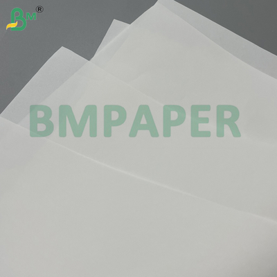 Rouleau de papier offset 60 g/m² en pâte de bois vierge blanche pour la fabrication de livres
