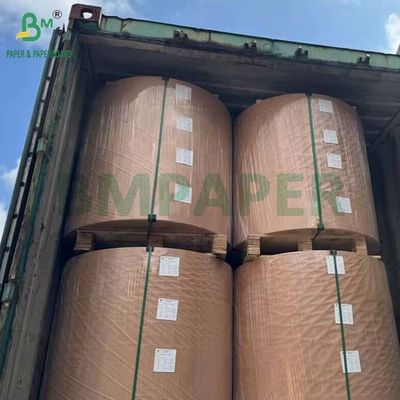 Rouleau Jumbo de Papier Thermique Sans BPA 48g - 80g pour Reçu de Caisse