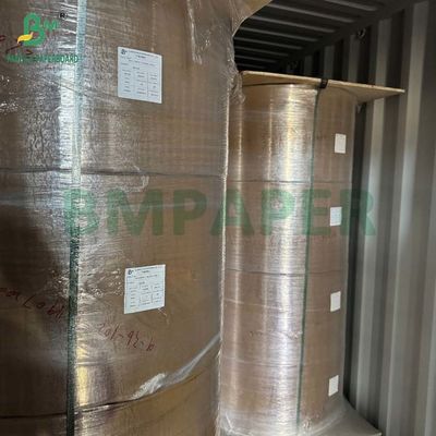 Rouleau de papier kraft dégradable de qualité alimentaire 20 gm - 50 gm pour le filtrage du café