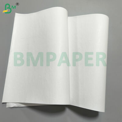 Rouleaux mères de papier thermique de base pour reçus ECR / REÇU avec revêtement