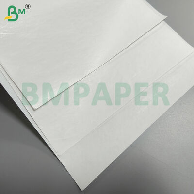 Rouleaux mères de papier thermique de base pour reçus ECR / REÇU avec revêtement