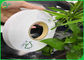 Papier d'emballage compostable de catégorie comestible de 100% 60gsm 120gsm pour les pailles biodégradables