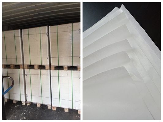 Un PE latéral a enduit le petit pain de papier de catégorie comestible pour la gamelle FSC et FDA a délivré un certificat