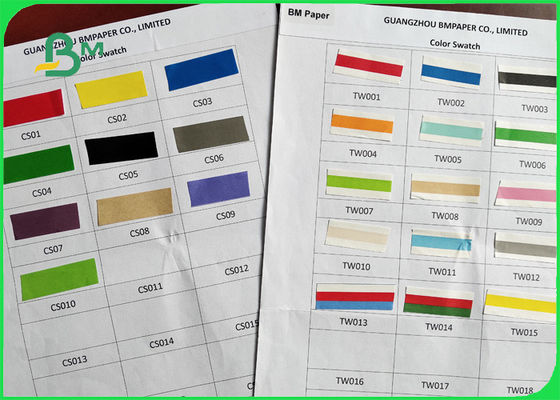 Modèle coloré de papier potable de la paille DIY de FSC et de FDA 60G 120G employant en boissons
