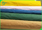 Papier d'emballage lavable multicolore de résistance de larme pour des sacs plicatifs