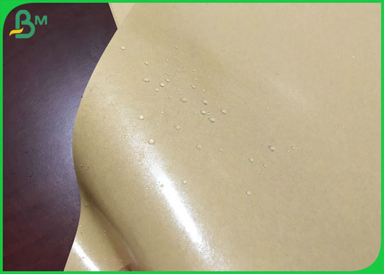 787mm 250g papier kraft brun avec 15g PE revêtu pour boîte à pizza