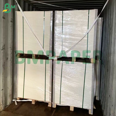 Revêtement PET Assiette à dîner Matériau papier Couleur blanche Plateau alimentaire en papier