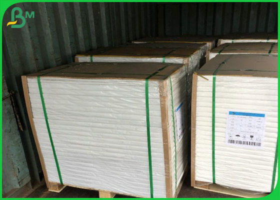 300g sulfurisé et imperméable FBB avec du PE simple pour faire la gamelle