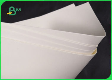 Papier brut biodégradable de 190gsm 210gsm Cupstock pour le bol 720MM de nourriture 860MM