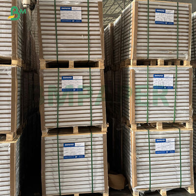 Papier à l'épreuve de la graisse blanc café jaune vert cupcake liner muffin papier pour la cuisson