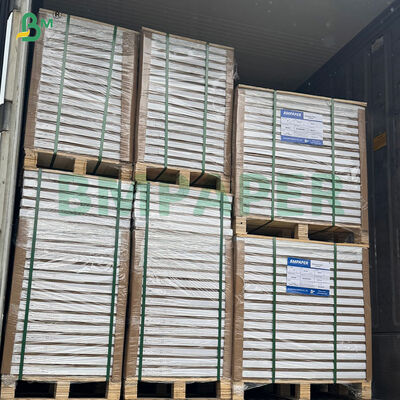 Papier de cuisson pour cupcakes résistant aux hautes températures 40 g/m² pour petits gâteaux