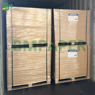 Papier alimentaire micro-ondable pour assiettes, tasses, résistant aux coupures