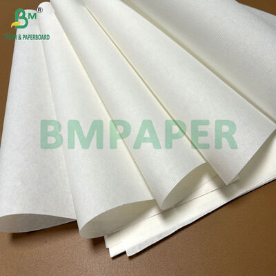 51gsm White Coffee Filter Paper For FETCO CBS2130 Drip Coffee Maker 340mm