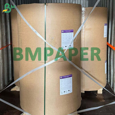 Rouleau de papier bagasse biodégradable de 80g-300g pour la fabrication d'assiettes alimentaires
