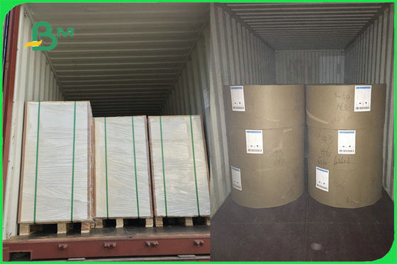 Papier enduit de la nourriture FBB de FSC FDA de PE sûr blanc du panneau 15g pour la tasse faisant la coutume