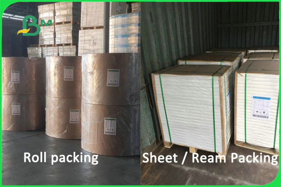 Matériel 100% non-enduit biodégradable de tasse de papier de pulpe de Vierge 170 - 300gsm FDA FSC