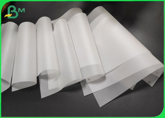 petit pain de papier translucide 620/880mm de l'esquisse 73gsm et de découverte