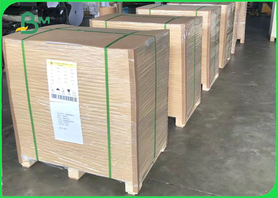 côté enduit brillant de 120gsm C2S double papier d'imprimerie d'insecte de 70 x de 100cm