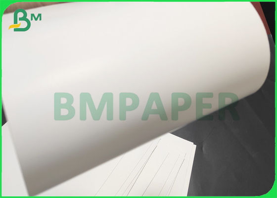 Conseil se pliant arrière blanc en vrac élevé GC1 295gsm pour l'emballage alimentaire