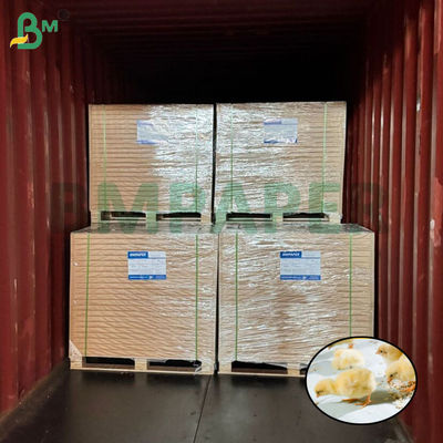 Papier d'élevage pour poussins blancs, papier pour poulets d'élevage 66cm 100cm