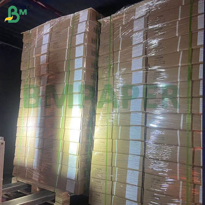 Papier d'élevage pour poussins blancs, papier pour poulets d'élevage 66cm 100cm