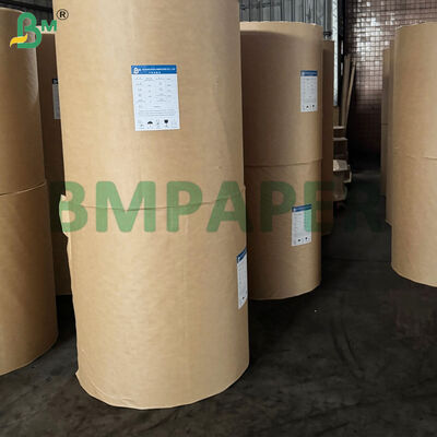 Papeterie de couche de muffins à l'épreuve de la graisse colorée