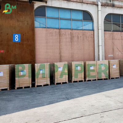 Papeterie de couche de muffins à l'épreuve de la graisse colorée