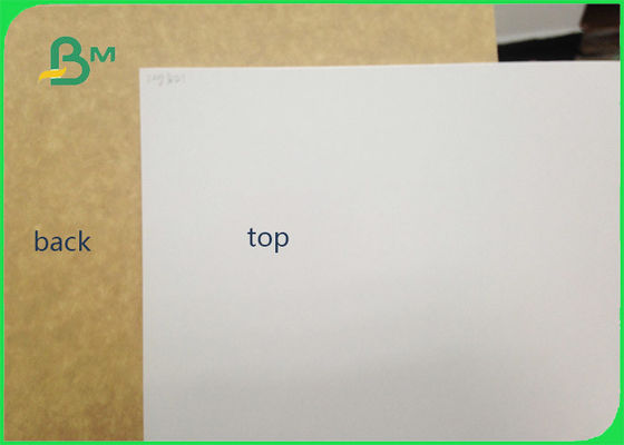 450gsm FSC a certifié le petit pain de papier enduit par argile de catégorie comestible de dos de Papier d'emballage/papier blanc de revêtement pour l'emballage