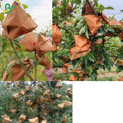 Papier d'emballage de fruits rouge pour emballer des pommes, papier d'emballage de pommes non cireux de 56 gm