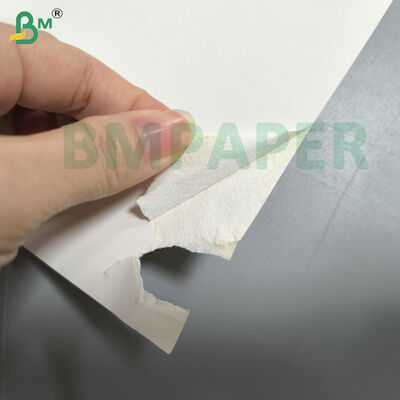 Bulky Carton Board For Tobacco Packaging 1 Side Coated 0.3mm Thickness