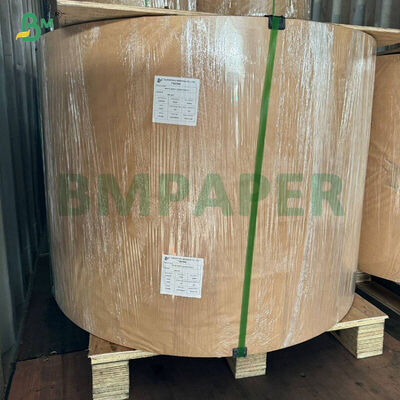 Papier à l'épreuve de la graisse blanc café jaune vert cupcake liner muffin papier pour la cuisson