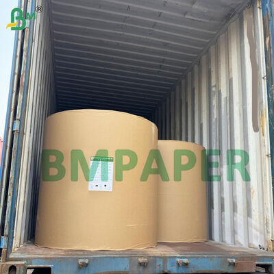 Papier de base pour napperons à forte absorption d'huile, papier de couleur blanche 50 g/m²