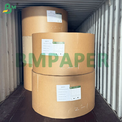 Revêtement PET Assiette à dîner Matériau papier Couleur blanche Plateau alimentaire en papier