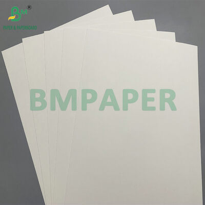 Papier biodégradable naturel kraft PE 210 GSM pour gobelets froids - Compostable