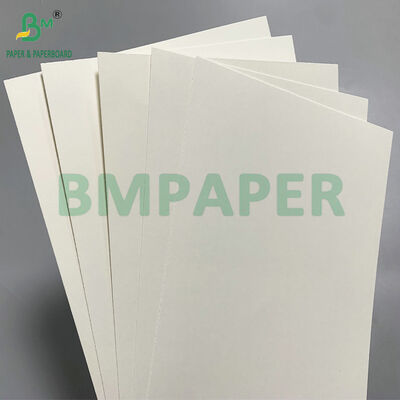 Papier biodégradable naturel kraft PE 210 GSM pour gobelets froids - Compostable