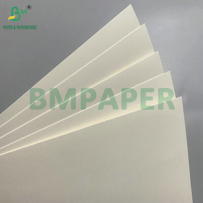 Carton biodégradable et sans danger au micro-ondes pour la fabrication de bols jetables pour la salade