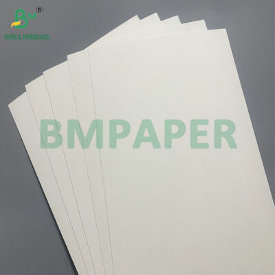 Carton biodégradable et sans danger au micro-ondes pour la fabrication de bols jetables pour la salade